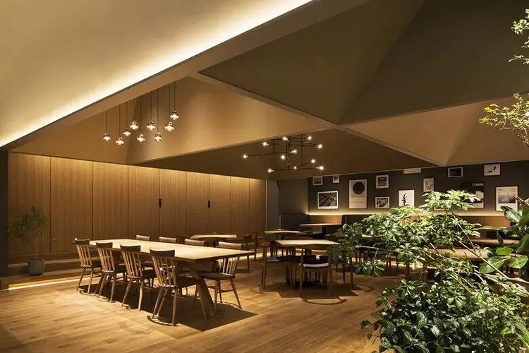 餐飲設(shè)計：塑造獨特空間，吸引食客目光